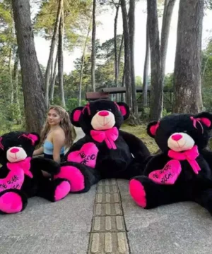 Oso Grande Negro Sentado Con Corazon y Corbatin Fucsia
