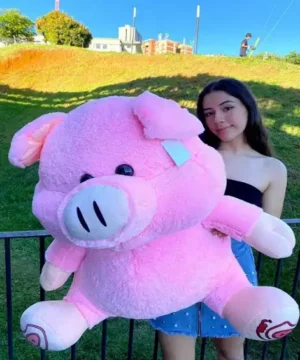 Peluche de Cerdito Sentado Color Rosado Tamaño Mediano y Tierno