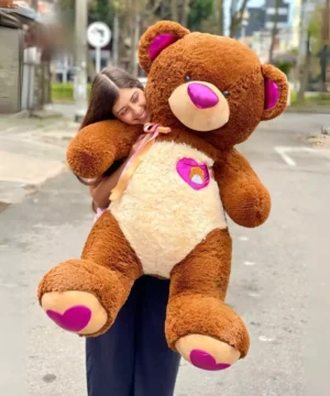 Peluche Oso Café Pies Corazon Color Fucsia Grande